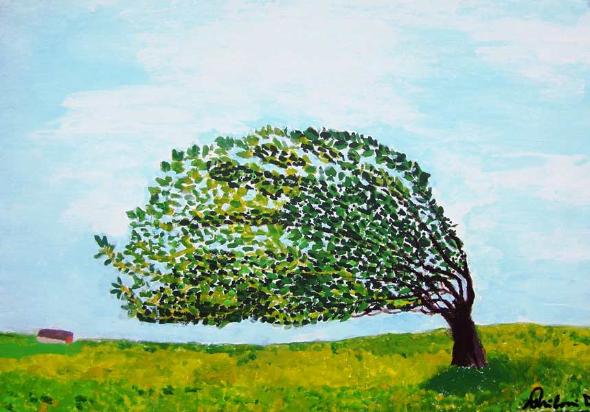 Alberi e nature morte 17